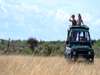 Porini Mara Camp - Game Drive 